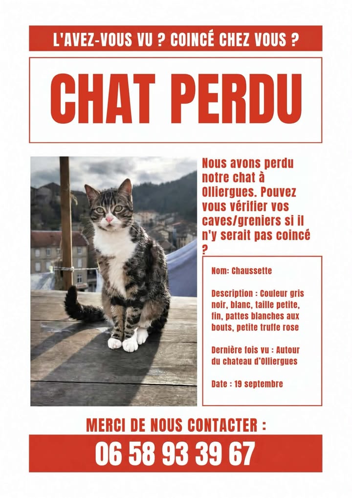 Illustration de la publication de la commune
